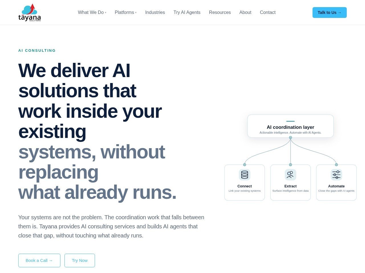 Tayana Solutions website preview