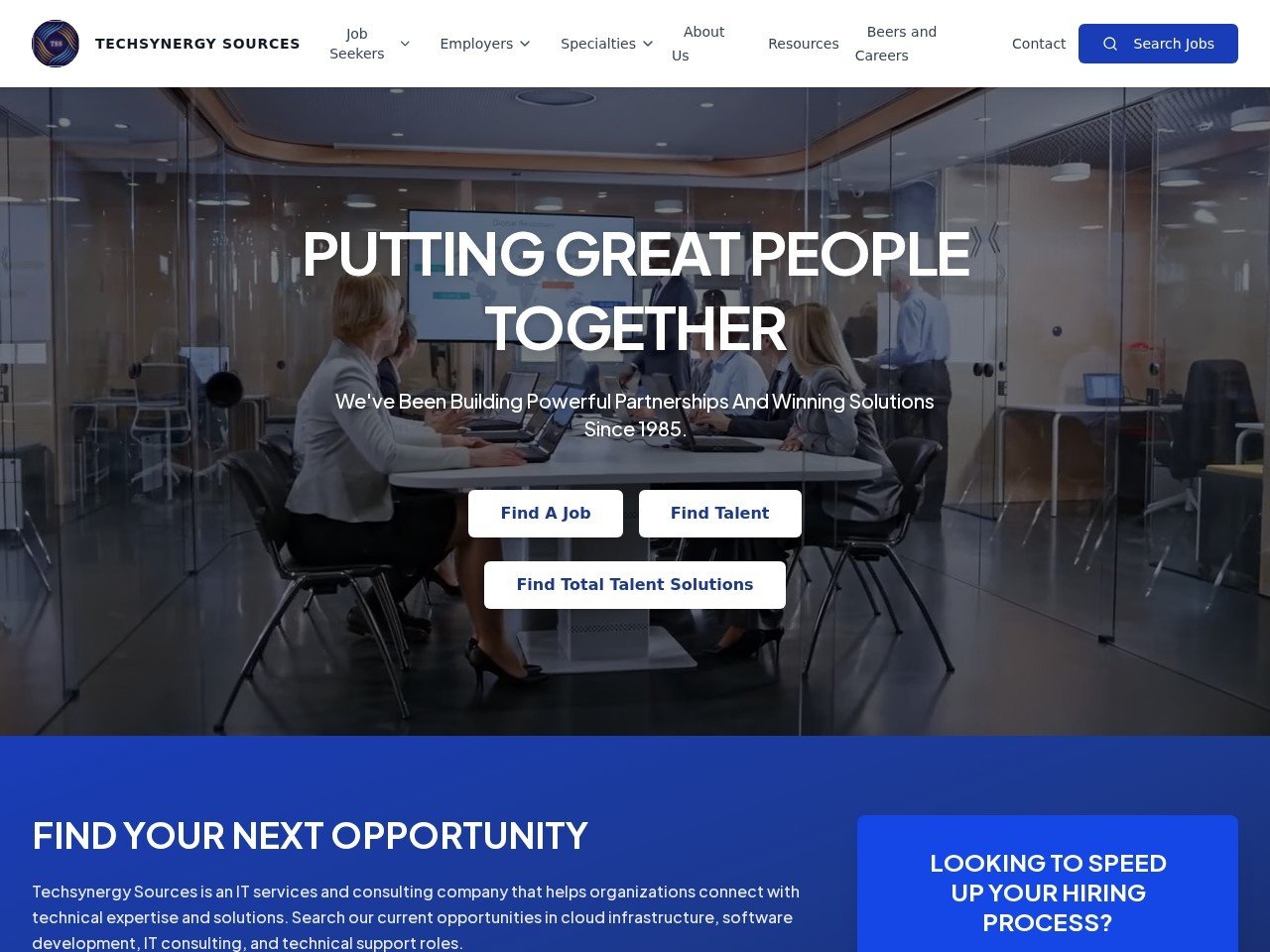 TechSynergy Sources website preview